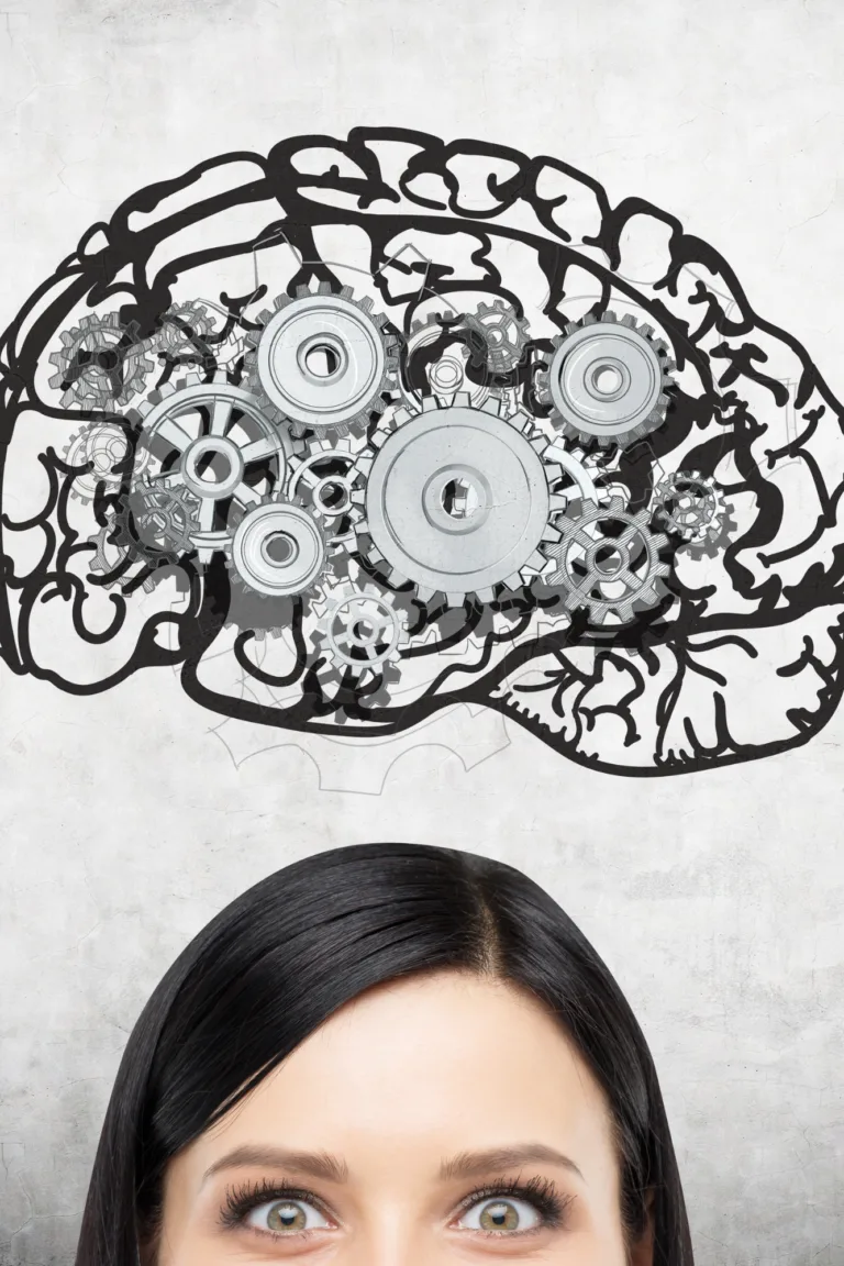 le cerveau et ses rouages complexes